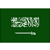 Saudi Arabia Divisão 1